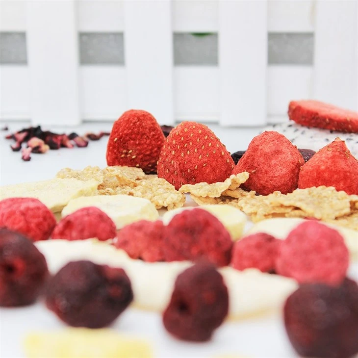 All Natural Freeze Dried Fruit
